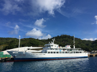 20181204_はは丸.jpg