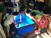 20190803_タッチングプール2.jpg