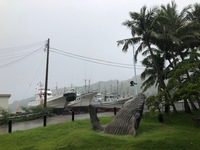 20191009_台風養生.jpg