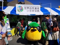 20191102_JBF.JPG