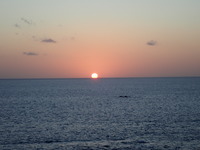 20200214_鮫ヶ崎クジラ観察会2.JPG