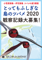 20200318_ツバメポスター.jpg