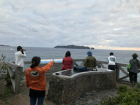 20200327_鮫ヶ崎.jpg