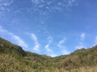 20200419空.JPG