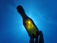 20200515_bottle.JPG
