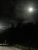 20200604_素敵な夜のお散歩とお月様.jpg