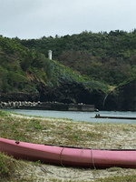 20210322_突如現れる滝!.jpg